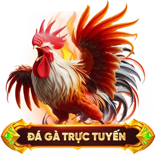 đá gà trực tuyến XX88